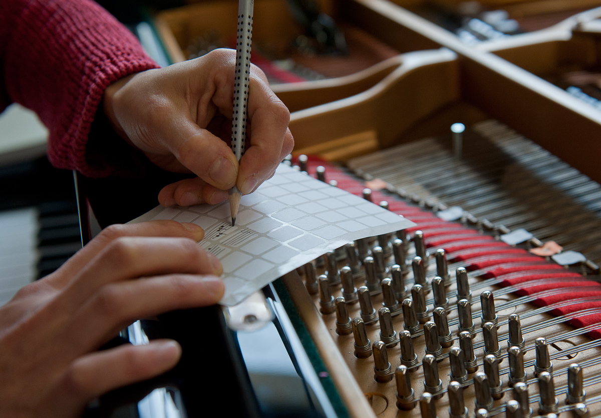 ensemble arcimboldo / resonance-box / sound installation / Helena Bugallo